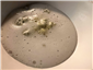 mint pre dessert